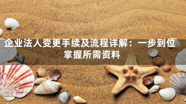 企业法人变更手续及流程详解：一步到位掌握所需资料