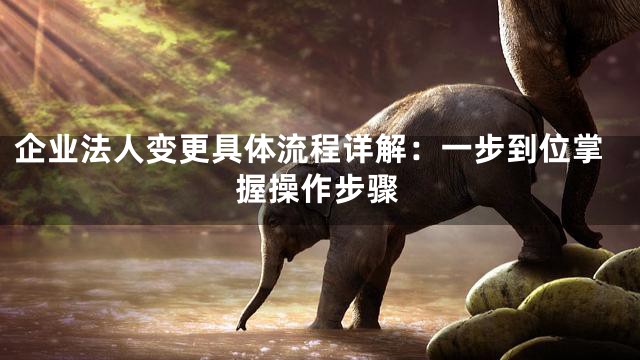 企业法人变更具体流程详解：一步到位掌握操作步骤