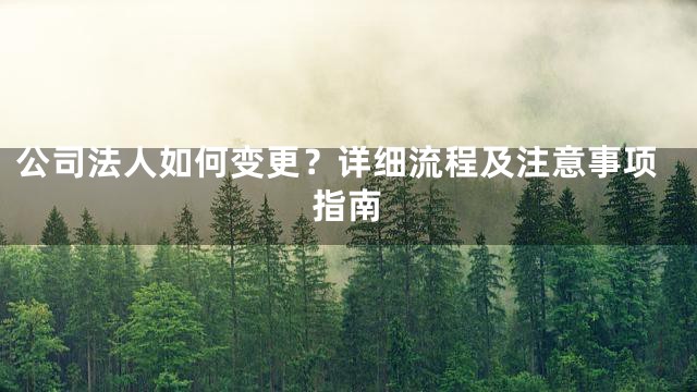 公司法人如何变更？详细流程及注意事项指南