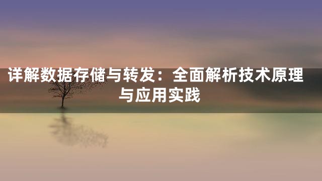 详解数据存储与转发：全面解析技术原理与应用实践
