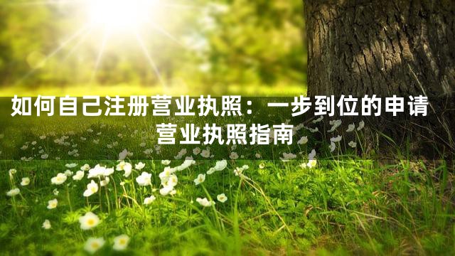 如何自己注册营业执照：一步到位的申请营业执照指南