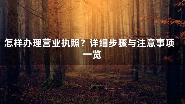 怎样办理营业执照？详细步骤与注意事项一览
