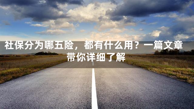 社保分为哪五险，都有什么用？一篇文章带你详细了解