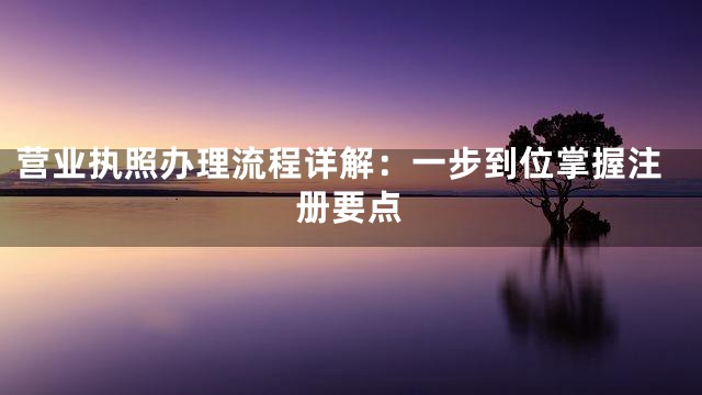 营业执照办理流程详解：一步到位掌握注册要点