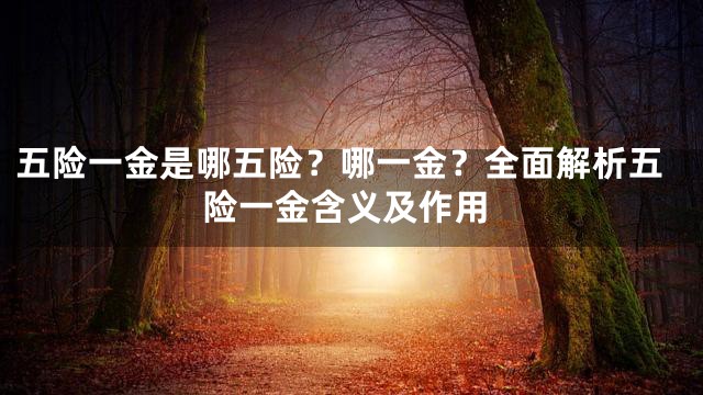 五险一金是哪五险？哪一金？全面解析五险一金含义及作用