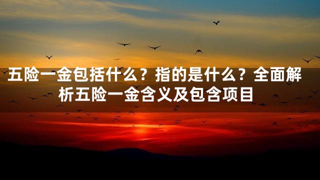 五险一金包括什么？指的是什么？全面解析五险一金含义及包含项目