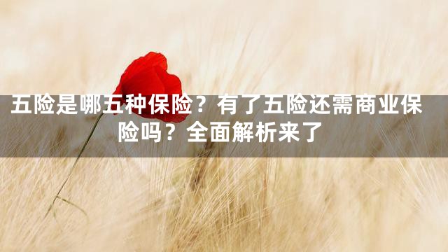 五险是哪五种保险？有了五险还需商业保险吗？全面解析来了