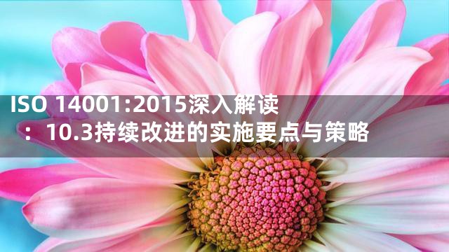 ISO 14001:2015深入解读：10.3持续改进的实施要点与策略