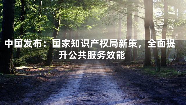 中国发布：国家知识产权局新策，全面提升公共服务效能