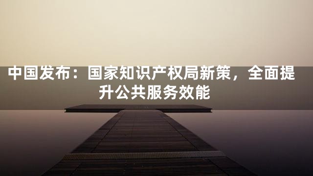 中国发布：国家知识产权局新策，全面提升公共服务效能