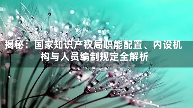 揭秘：国家知识产权局职能配置、内设机构与人员编制规定全解析