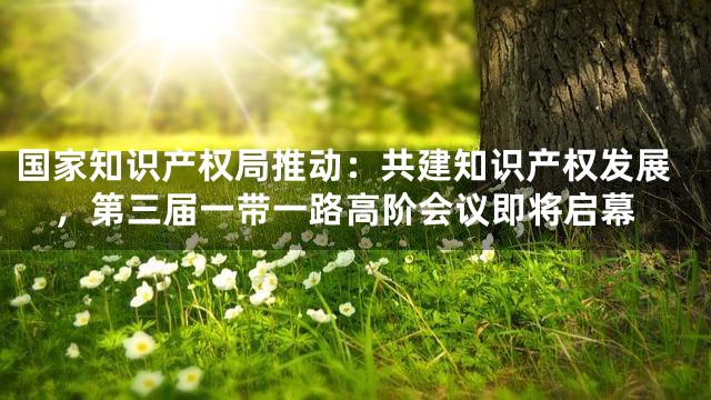 国家知识产权局推动：共建知识产权发展，第三届一带一路高阶会议即将启幕
