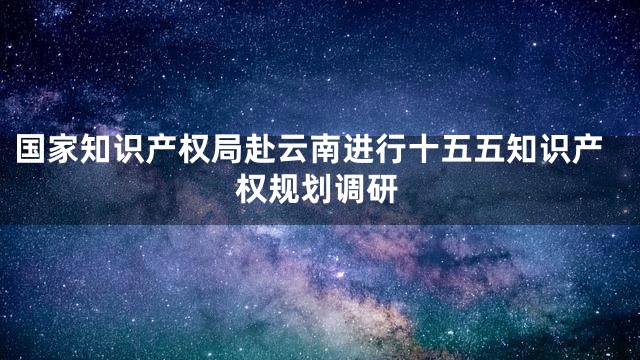 国家知识产权局赴云南进行十五五知识产权规划调研
