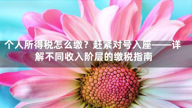 个人所得税怎么缴？赶紧对号入座——详解不同收入阶层的缴税指南