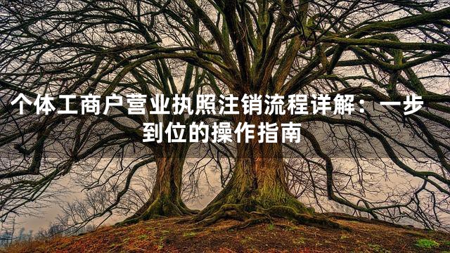 个体工商户营业执照注销流程详解：一步到位的操作指南