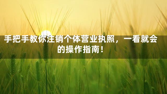手把手教你注销个体营业执照，一看就会的操作指南！