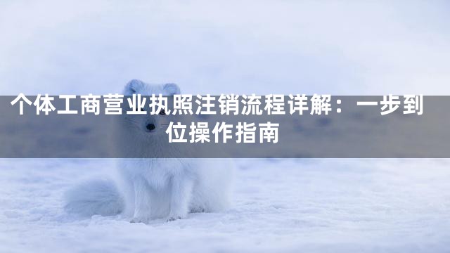 个体工商营业执照注销流程详解：一步到位操作指南