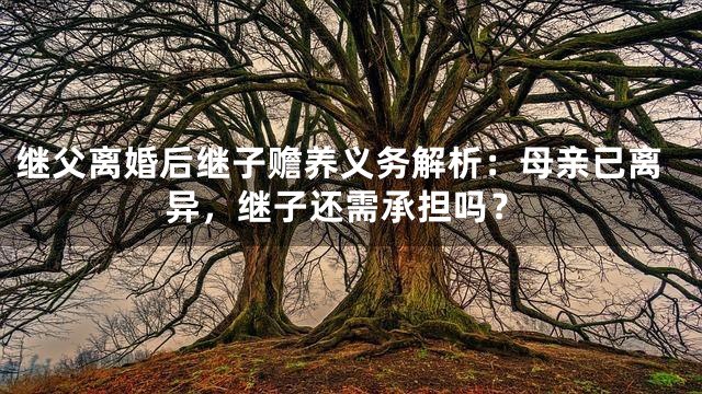继父离婚后继子赡养义务解析：母亲已离异，继子还需承担吗？
