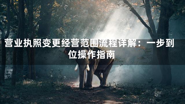 营业执照变更经营范围流程详解：一步到位操作指南