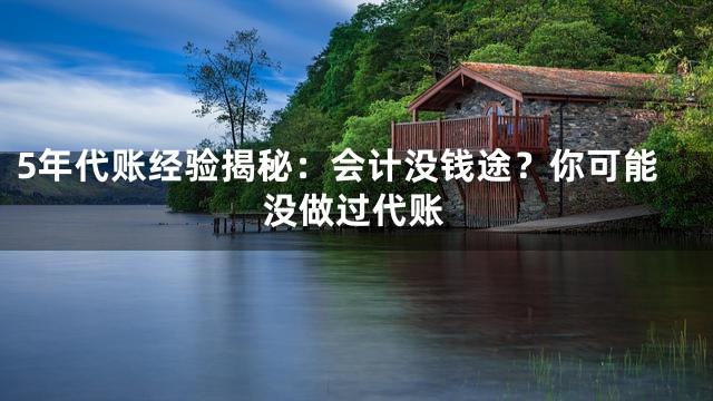 5年代账经验揭秘：会计没钱途？你可能没做过代账