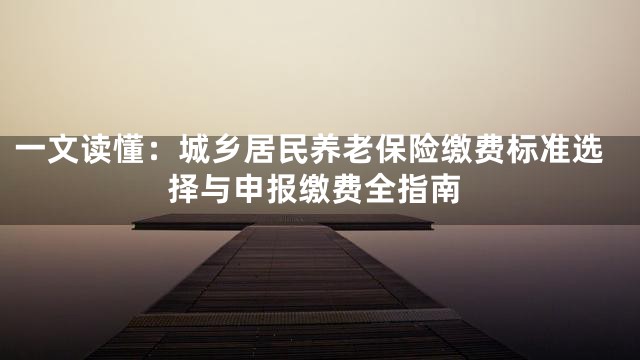一文读懂：城乡居民养老保险缴费标准选择与申报缴费全指南