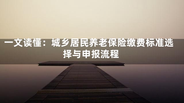 一文读懂：城乡居民养老保险缴费标准选择与申报流程