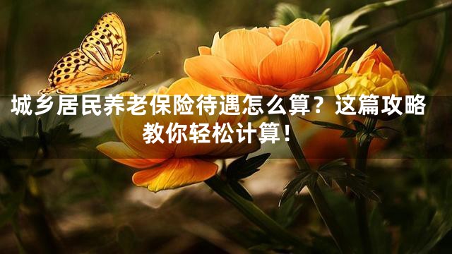 城乡居民养老保险待遇怎么算？这篇攻略教你轻松计算！