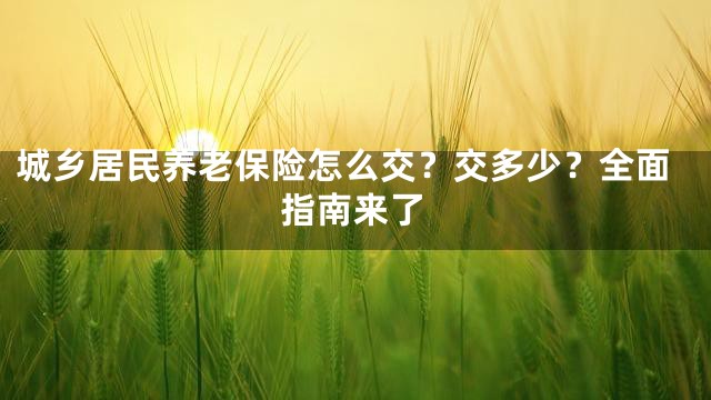 城乡居民养老保险怎么交？交多少？全面指南来了