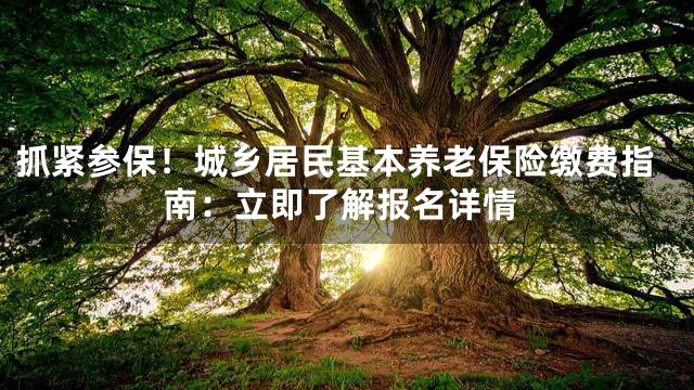 抓紧参保！城乡居民基本养老保险缴费指南：立即了解报名详情