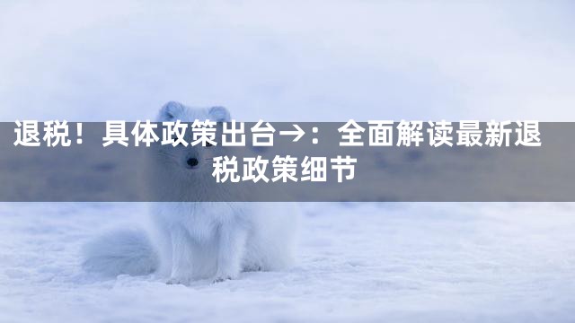 退税！具体政策出台→：全面解读最新退税政策细节