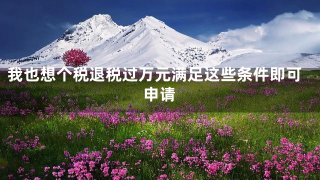 我也想个税退税过万元满足这些条件即可申请