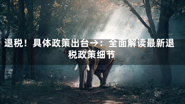 退税！具体政策出台→：全面解读最新退税政策细节