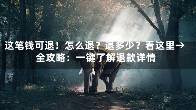 这笔钱可退！怎么退？退多少？看这里→全攻略：一键了解退款详情