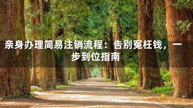 亲身办理简易注销流程：告别冤枉钱，一步到位指南