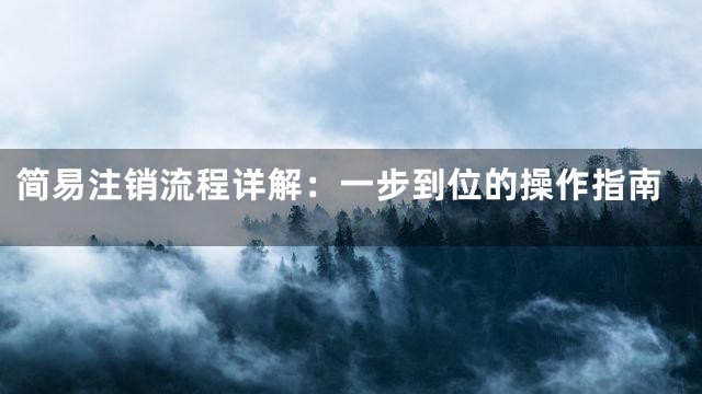 简易注销流程详解：一步到位的操作指南