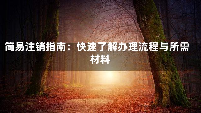 简易注销指南：快速了解办理流程与所需材料