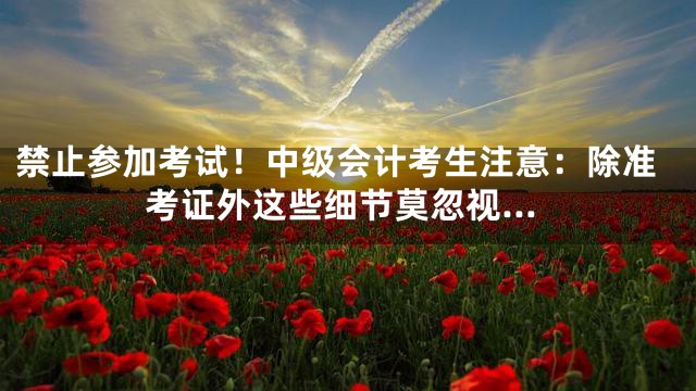禁止参加考试！中级会计考生注意：除准考证外这些细节莫忽视…
