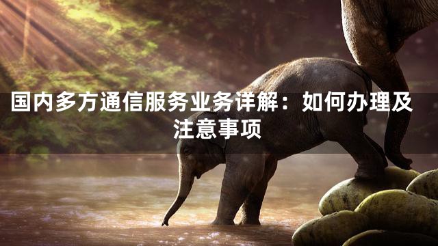 国内多方通信服务业务详解：如何办理及注意事项