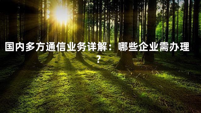 国内多方通信业务详解：哪些企业需办理？