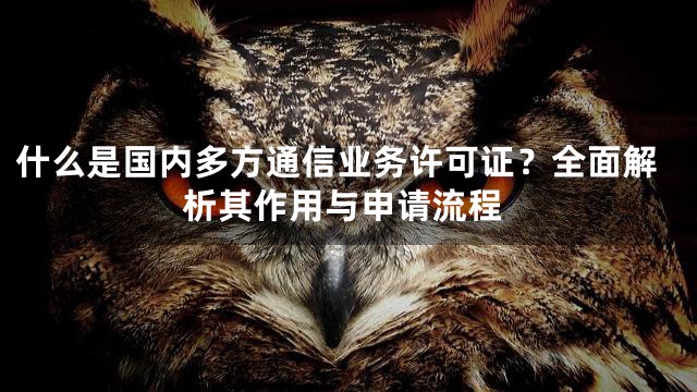什么是国内多方通信业务许可证？全面解析其作用与申请流程