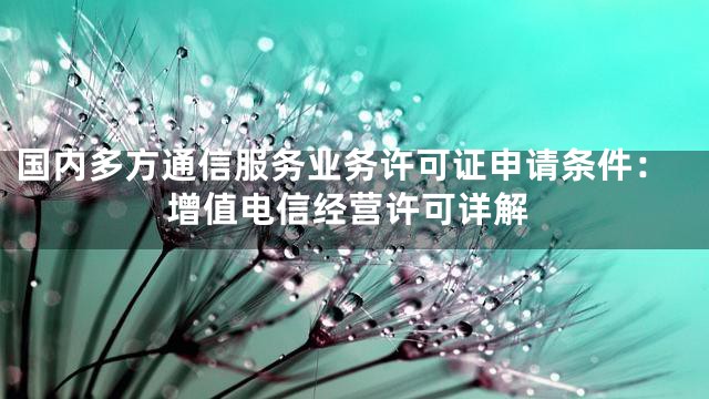 国内多方通信服务业务许可证申请条件：增值电信经营许可详解