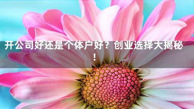 开公司好还是个体户好？创业选择大揭秘！