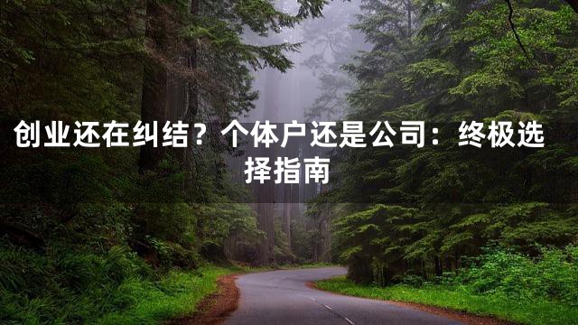 创业还在纠结？个体户还是公司：终极选择指南