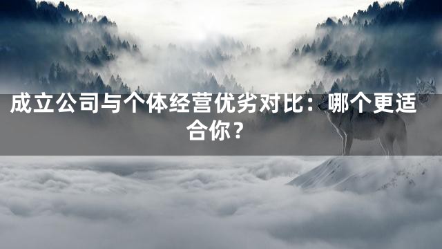 成立公司与个体经营优劣对比：哪个更适合你？