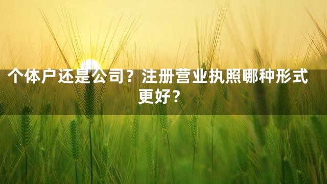 个体户还是公司？注册营业执照哪种形式更好？