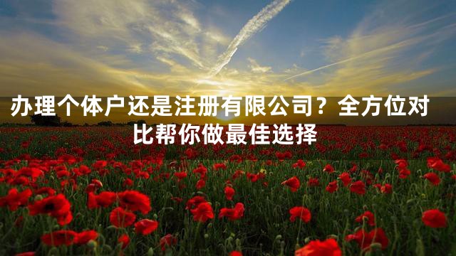 办理个体户还是注册有限公司？全方位对比帮你做最佳选择