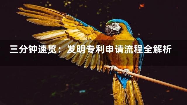 三分钟速览：发明专利申请流程全解析
