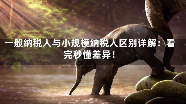一般纳税人与小规模纳税人区别详解：看完秒懂差异！