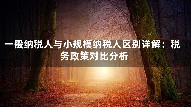 一般纳税人与小规模纳税人区别详解：税务政策对比分析