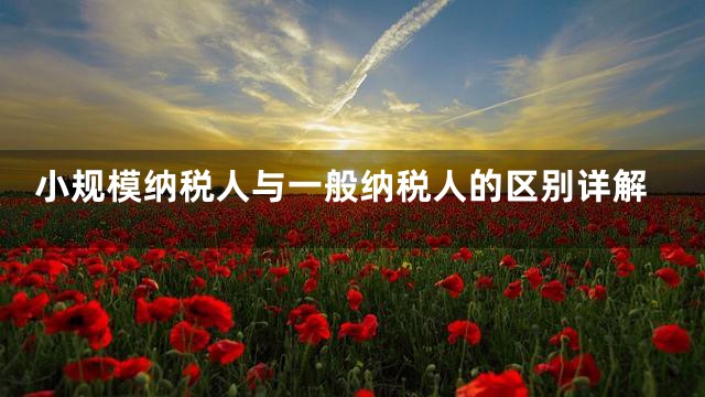 小规模纳税人与一般纳税人的区别详解